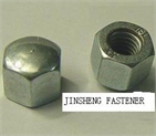 DIN917 CAP NUTS